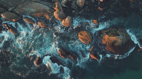 kerala tulasi video download|Free Tulasi Stock Video Footage & B.